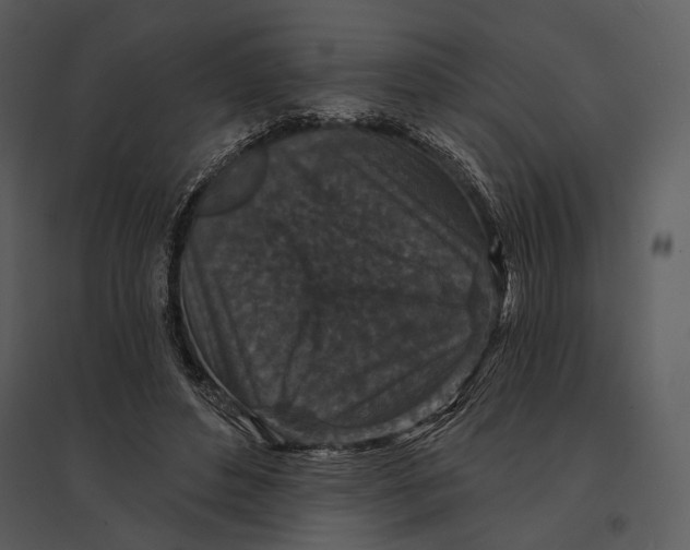 X0000095510496200801041203