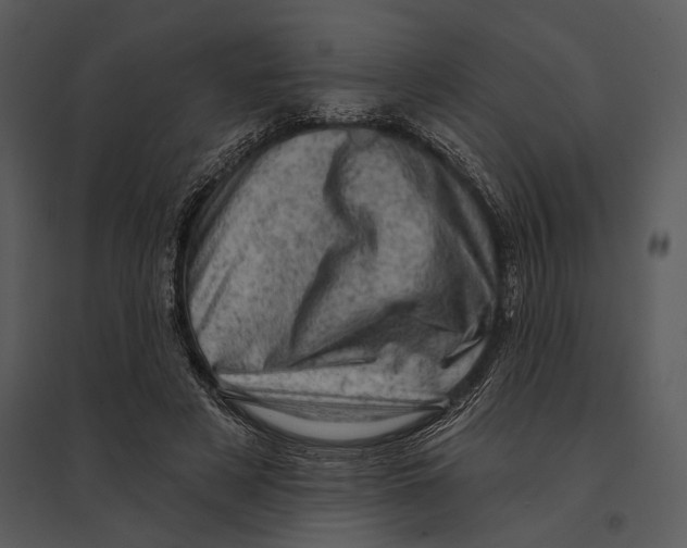 X0000095510497200801041203
