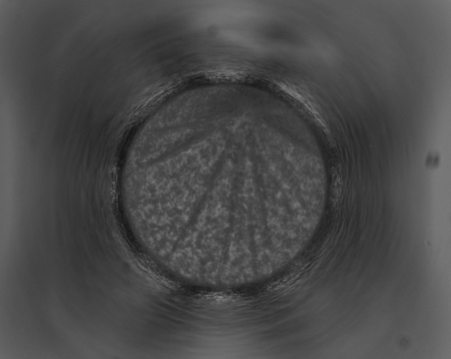 X0000095510498200801041203