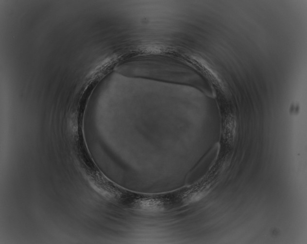 X0000095510500200801041203