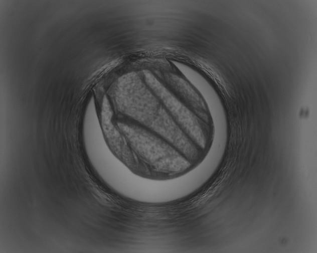 X0000095510501200801041203