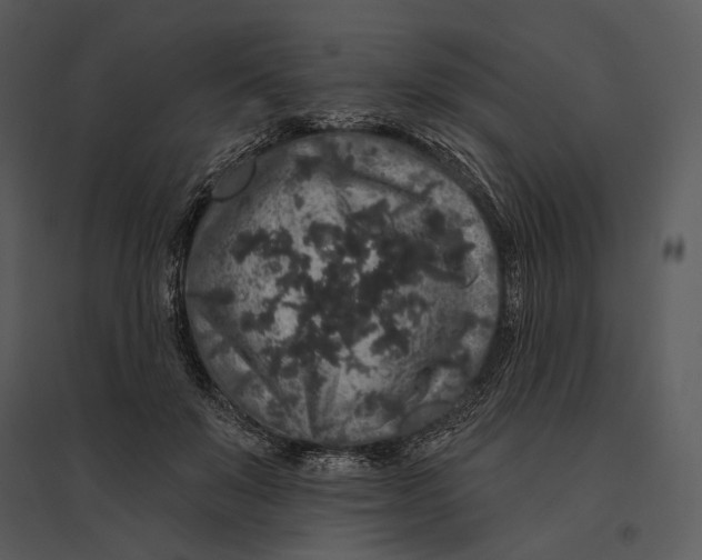 X0000095510503200801041203