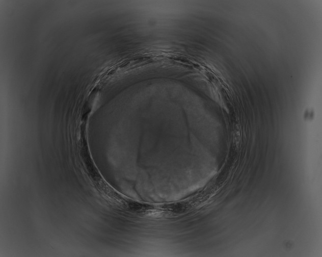X0000095510504200801041203