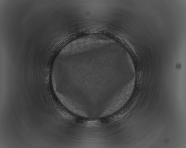 X0000095510505200801041203