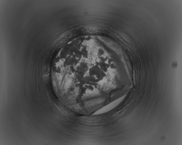 X0000095510507200801041203