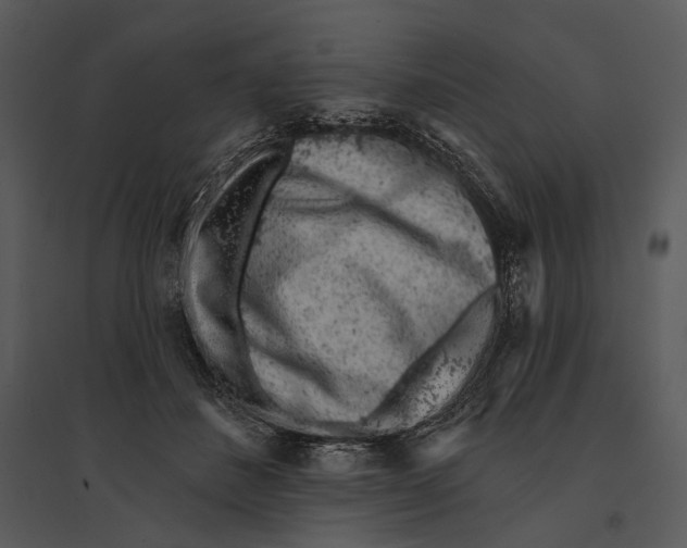 X0000095510508200801041203