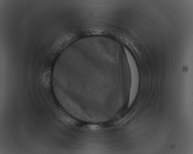 X0000095510509200801041203