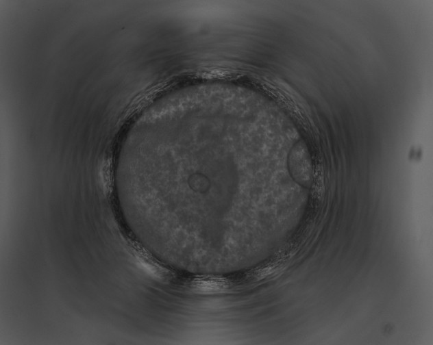 X0000095510510200801041203