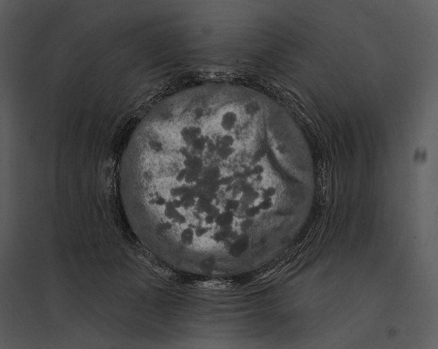 X0000095510511200801041203