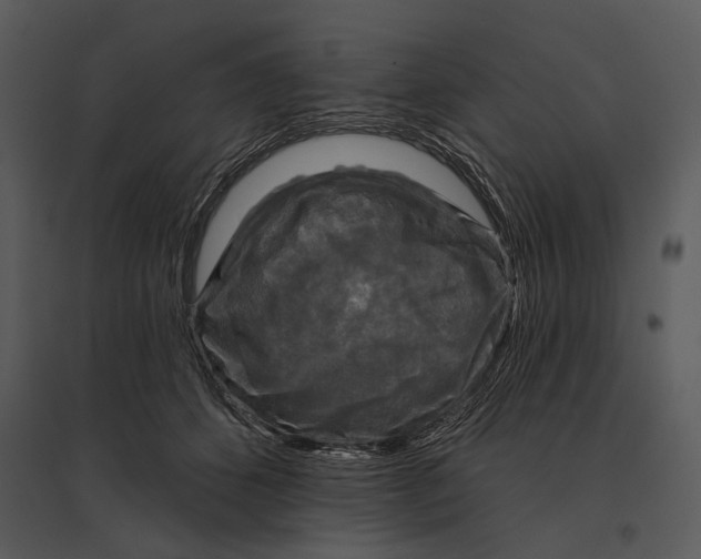 X0000095510512200801041203