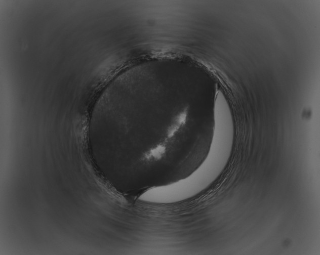 X0000095510513200801041203
