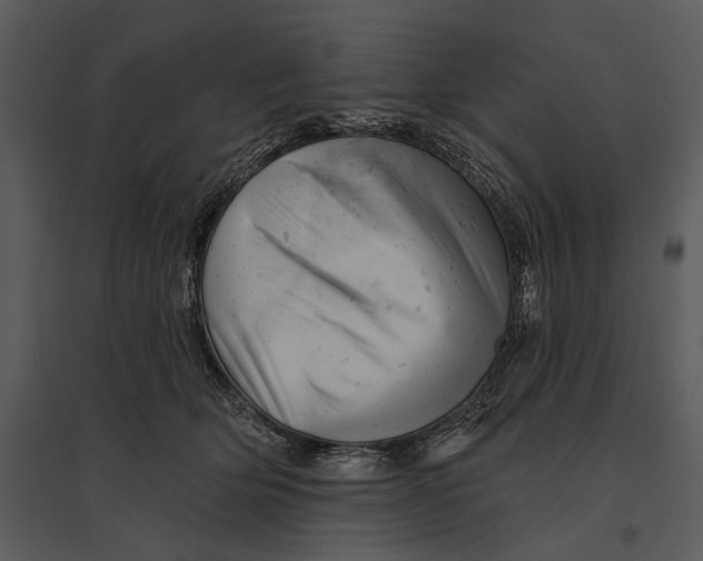 X0000095510514200801041203