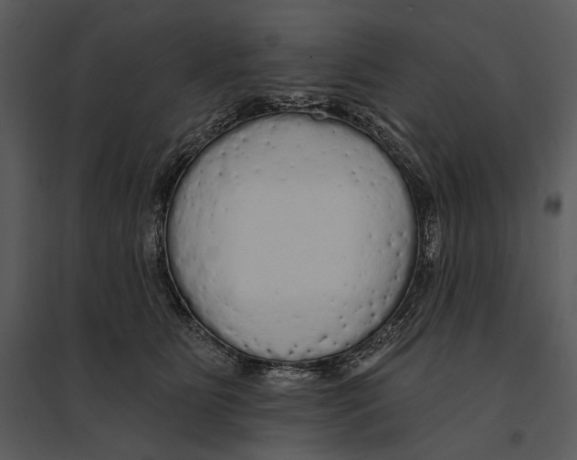X0000095510515200801041203