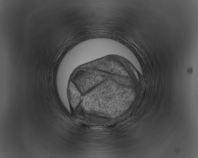 X0000095510516200801041203