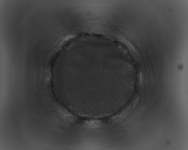 X0000095510517200801041203
