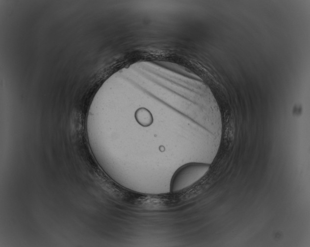 X0000095510518200801041203