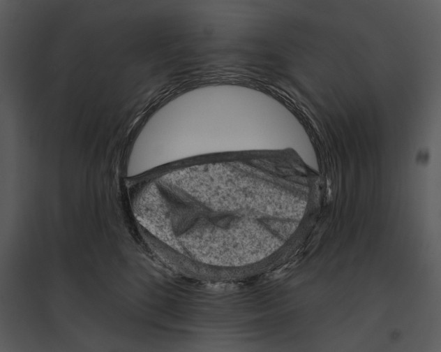 X0000095510520200801041203
