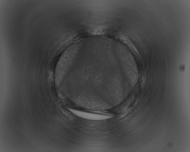 X0000095510521200801041203
