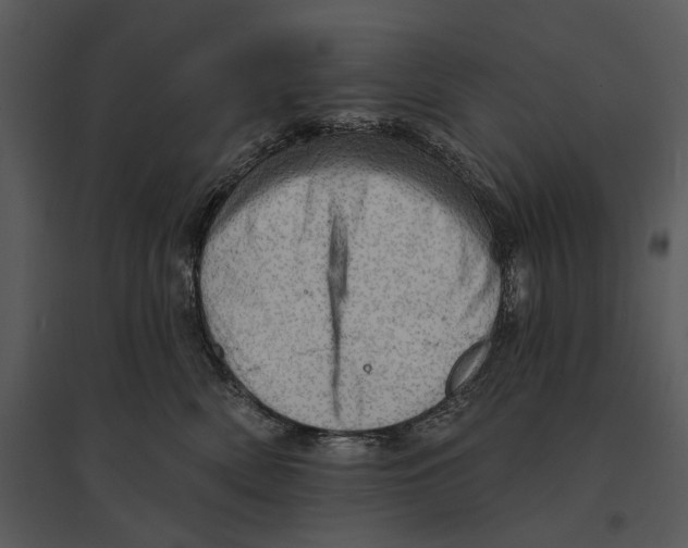 X0000095510522200801041203