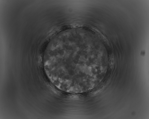 X0000095510523200801041203