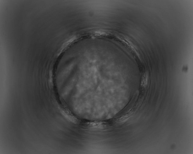 X0000095510524200801041203