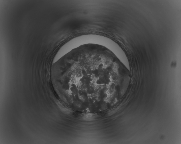 X0000095510527200801041203