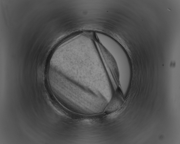 X0000095510530200801041202