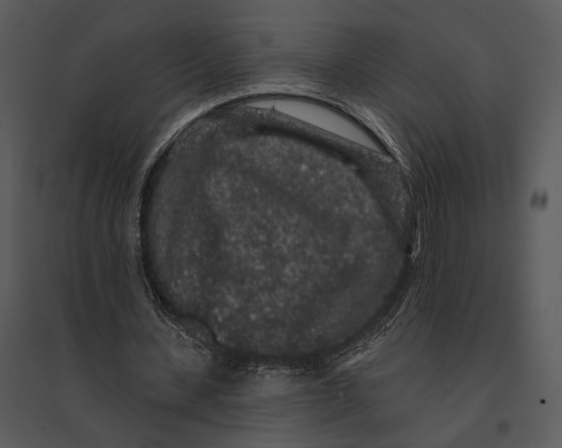 X0000095510531200801041202