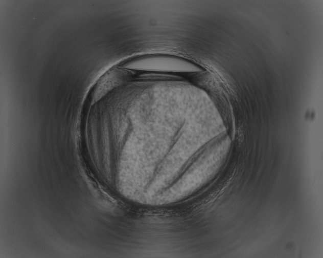X0000095510532200801041202