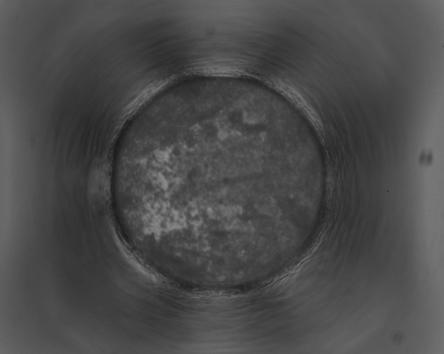 X0000095510533200801041202
