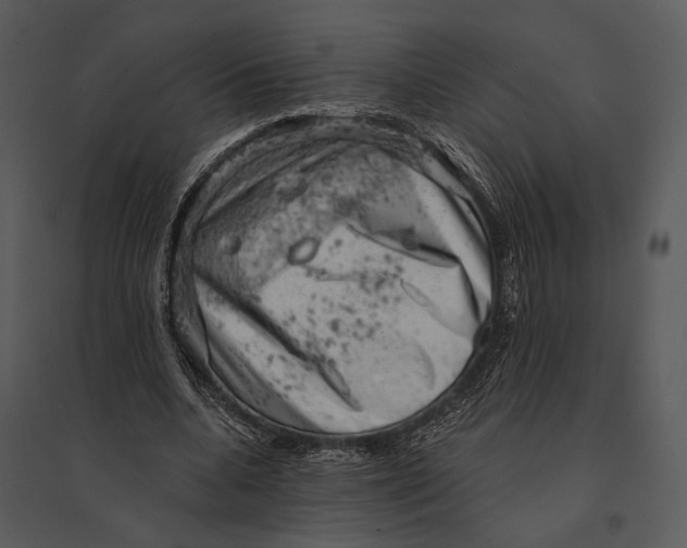 X0000095510536200801041202
