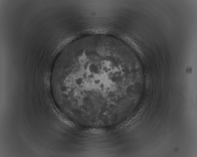 X0000095510537200801041202