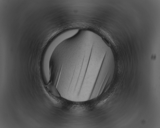 X0000095510538200801041202