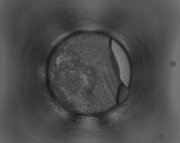 X0000095510539200801041202