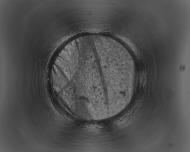 X0000095510540200801041202