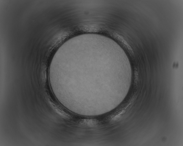 X0000095510541200801041202