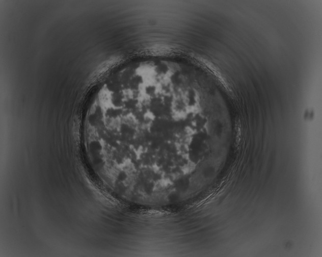 X0000095510542200801041202