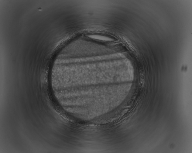 X0000095510543200801041202