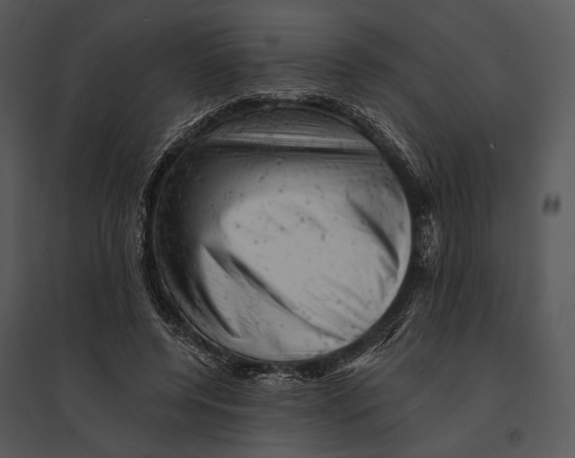 X0000095510544200801041202