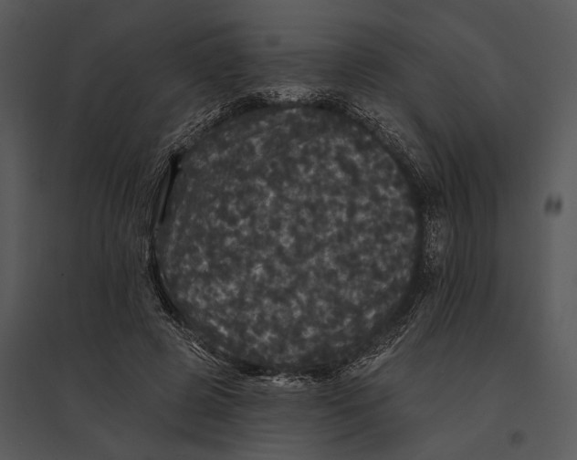 X0000095510545200801041202