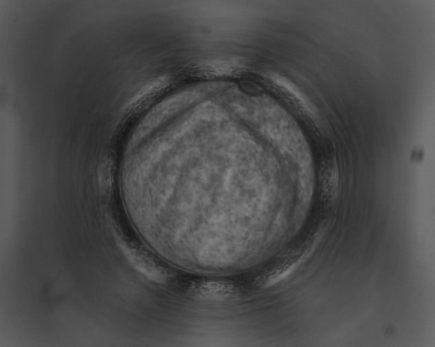 X0000095510546200801041202