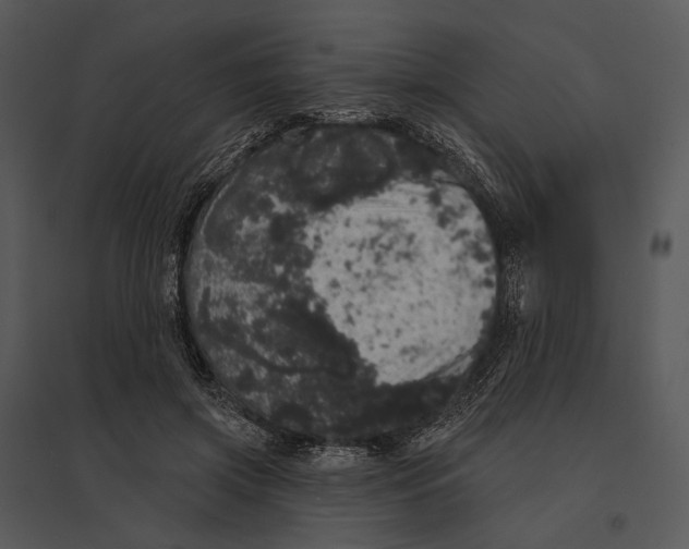 X0000095510549200801041202