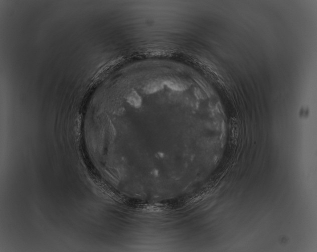 X0000095510550200801041202