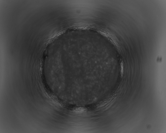 X0000095510551200801041202