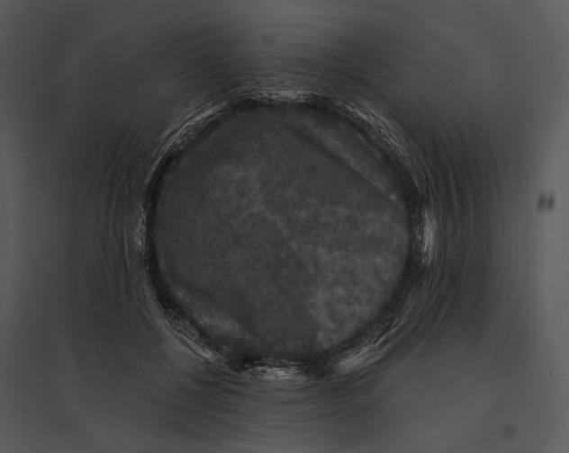 X0000095510552200801041202