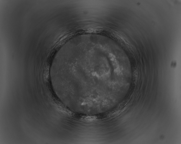 X0000095510554200801041202