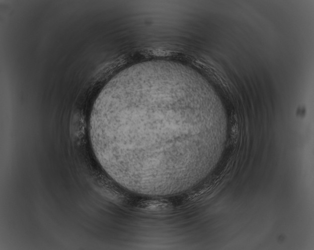 X0000095510555200801041202