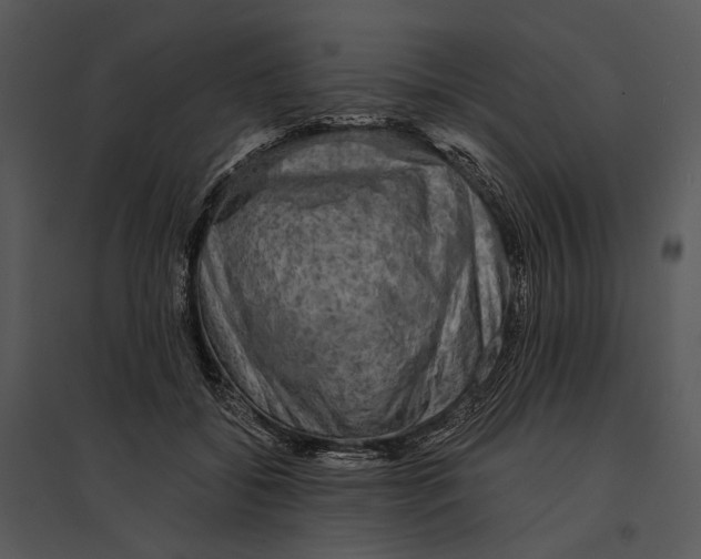 X0000095510556200801041202