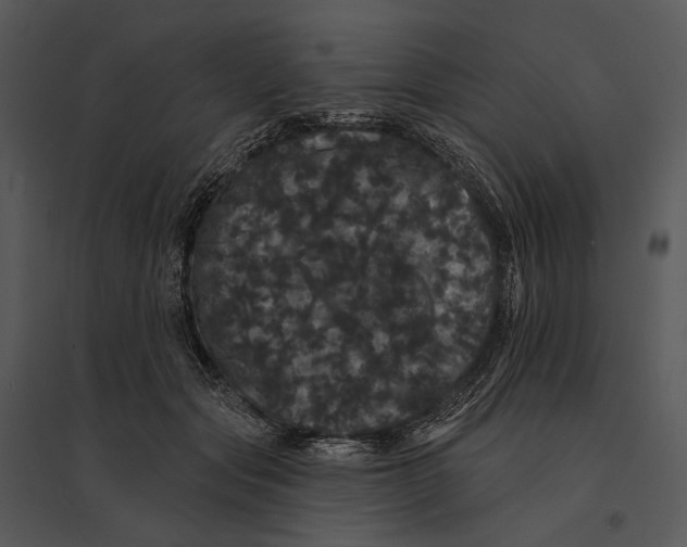 X0000095510557200801041203