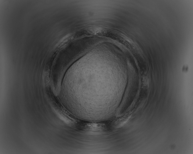 X0000095510558200801041203